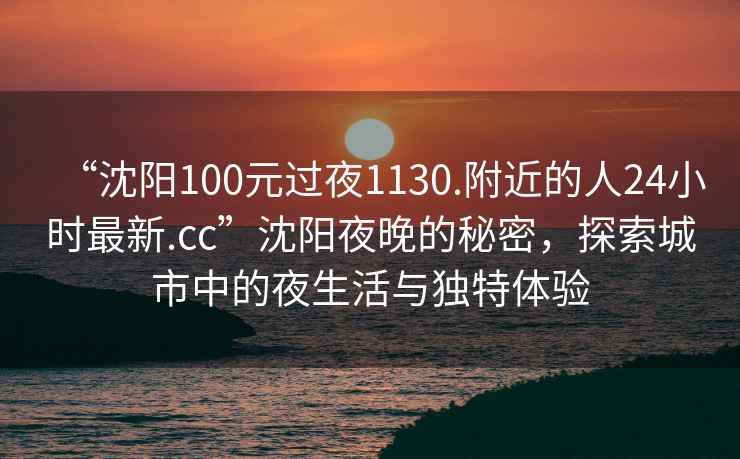 “沈陽(yáng)100元過(guò)夜1130.附近的人24小時(shí)最新.cc”沈陽(yáng)夜晚的秘密，探索城市中的夜生活與獨特體驗