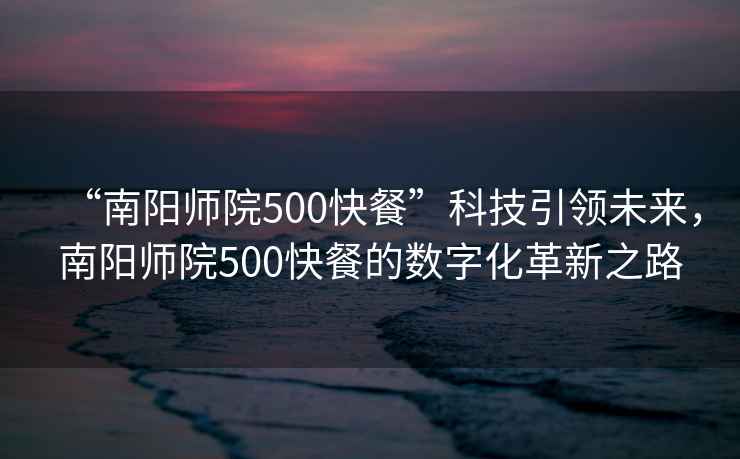 “南陽(yáng)師院500快餐”科技引領(lǐng)未來(lái)，南陽(yáng)師院500快餐的數字化革新之路