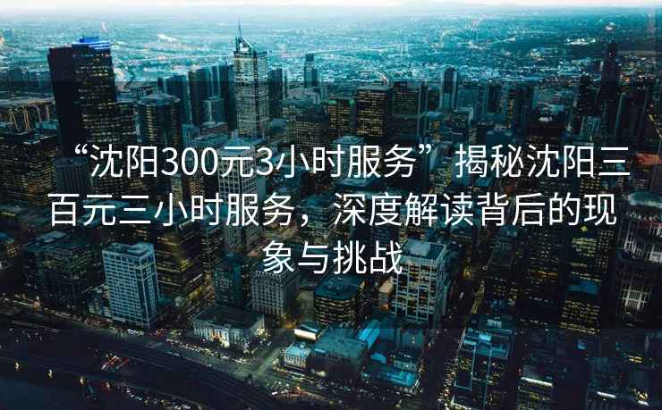 “沈陽(yáng)300元3小時(shí)服務(wù)”揭秘沈陽(yáng)三百元三小時(shí)服務(wù)，深度解讀背后的現象與挑戰