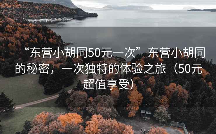 “東營(yíng)小胡同50元一次”東營(yíng)小胡同的秘密，一次獨特的體驗之旅（50元超值享受）