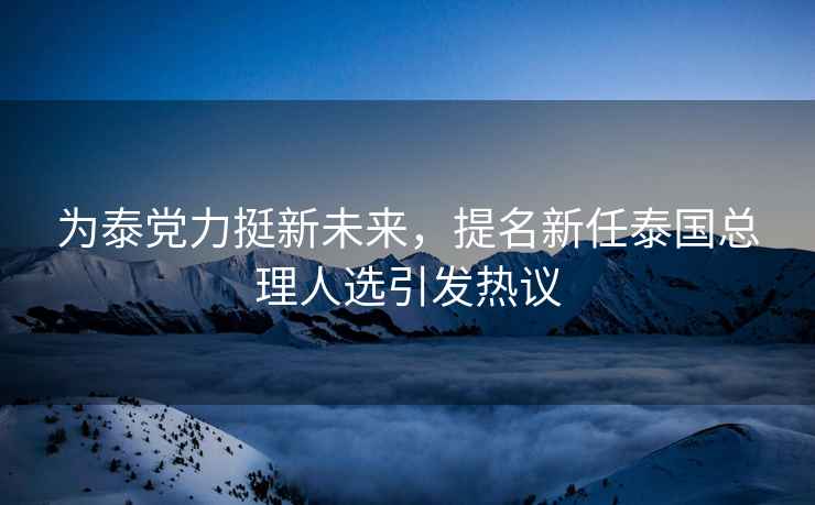 為泰黨力挺新未來(lái)，提名新任泰國總理人選引發(fā)熱議